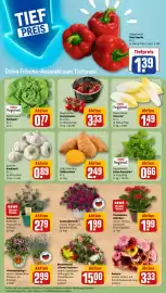 REWE DE tilbudsavis uge 24 Side 5
