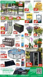 Wreesmann Prospekt Seite 16