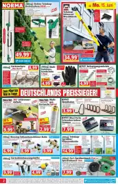 Norma Prospekt woche 25 Seite 2