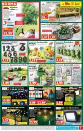 Norma Prospekt woche 25 Seite 3