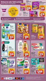 REWE Prospekt woche 24 Seite 24