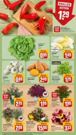 REWE Prospekt woche 24 Seite 7