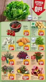REWE Prospekt woche 24 Seite 7