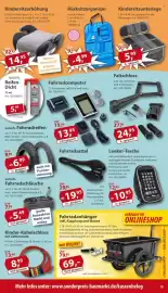 Sonderpreis Baumarkt Prospekt woche 24 Seite 19