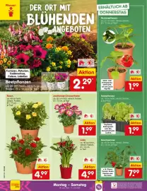 Netto Marken-Discount DE folder week 24 Pagina 16