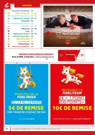 Broze folder Pagina 2