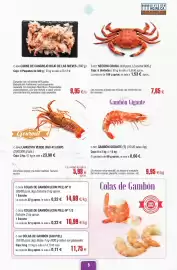 Folleto Abordo Página 9