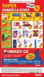 Penny Market leták týden 24 Strana 32