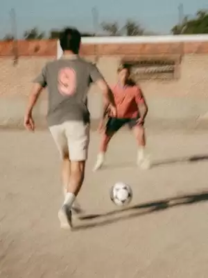 El Ganso (válido hasta 19-06)