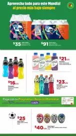 Folleto Bodega Aurrerá Página 13