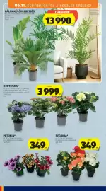 ALDI akciós újság hét 24 Oldal 6