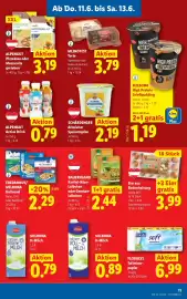 Lidl Flugblatt woche 24 Seite 13