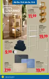 Lidl Flugblatt woche 24 Seite 30