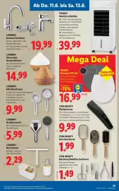 Lidl Flugblatt woche 24 Seite 31
