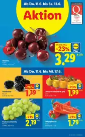 Lidl Flugblatt woche 24 Seite 7