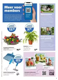 Intratuin folder week 24 Pagina 7