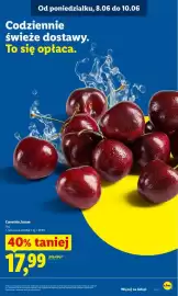 Lidl gazetka Strona 37