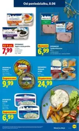 Lidl gazetka Strona 41
