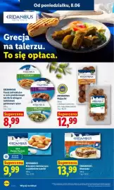 Lidl gazetka Strona 42