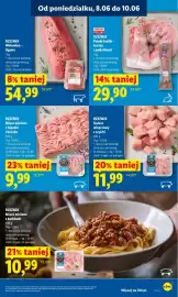 Lidl gazetka Strona 51