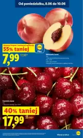 Lidl gazetka Strona 7