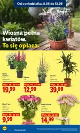 Lidl gazetka Strona 82