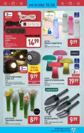 ALDI gazetka tydzień 24 Strona 31