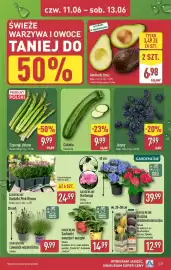 ALDI gazetka tydzień 24 Strona 33