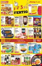Norma Prospekt woche 25 Seite 9