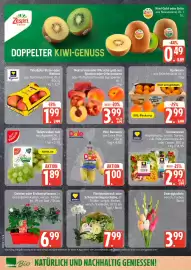 Edeka Prospekt Seite 8