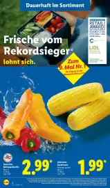 Lidl Prospekt Seite 10