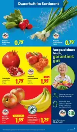 Lidl Prospekt Seite 11
