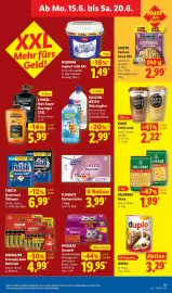 Lidl Prospekt Seite 25