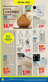 Lidl Prospekt Seite 42