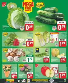 Edeka DE folder week 24 Pagina 5