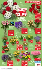 Kaufland Prospekt woche 24 Seite 5