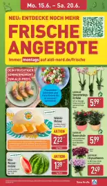 Aldi Nord Prospekt woche 25 Seite 7
