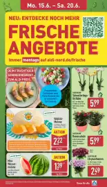 Aldi Nord Prospekt woche 25 Seite 7