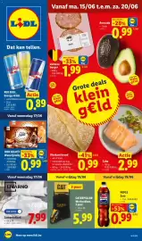 Lidl folder week 25 Pagina 1