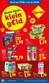 Lidl folder week 25 Pagina 16