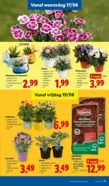 Lidl folder week 25 Pagina 17