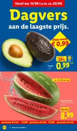 Lidl folder week 25 Pagina 2