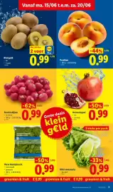 Lidl folder week 25 Pagina 3