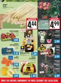 EDEKA Hahner Prospekt Seite 7