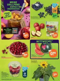 Tegut Prospekt woche 24 Seite 5