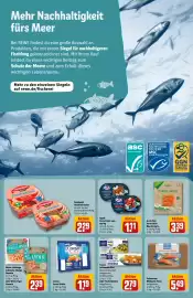 REWE Center Prospekt woche 24 Seite 15