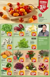 REWE Center Prospekt woche 24 Seite 7