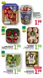 Scheck-in-Center Prospekt woche 24 Seite 23