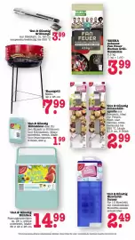 Scheck-in-Center Prospekt woche 24 Seite 62