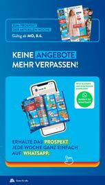 Aldi Süd Prospekt woche 26 Seite 24